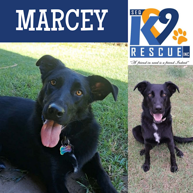 Photo of Marcey