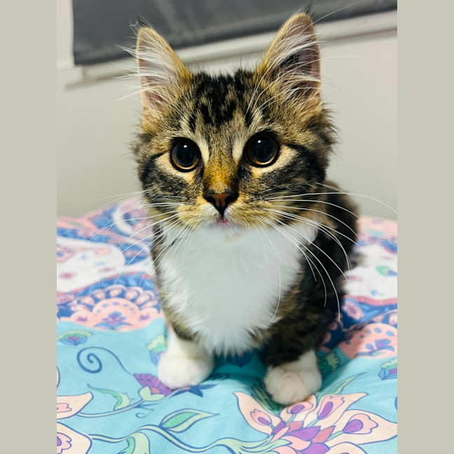 Photo of Morgan   Located In Grantville