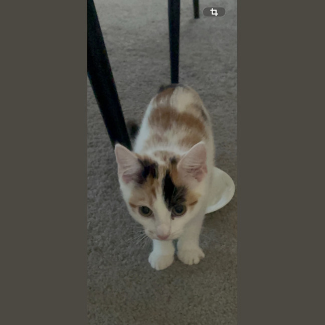 Photo of Roxy