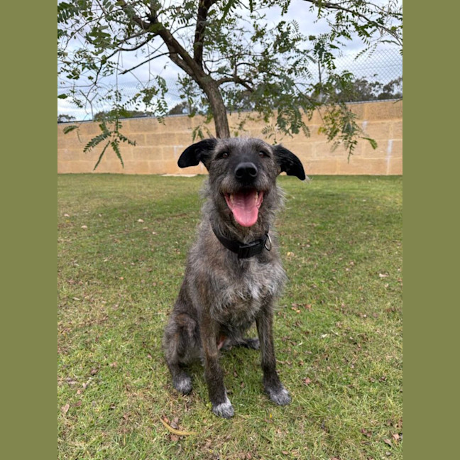 Photo of Daisy