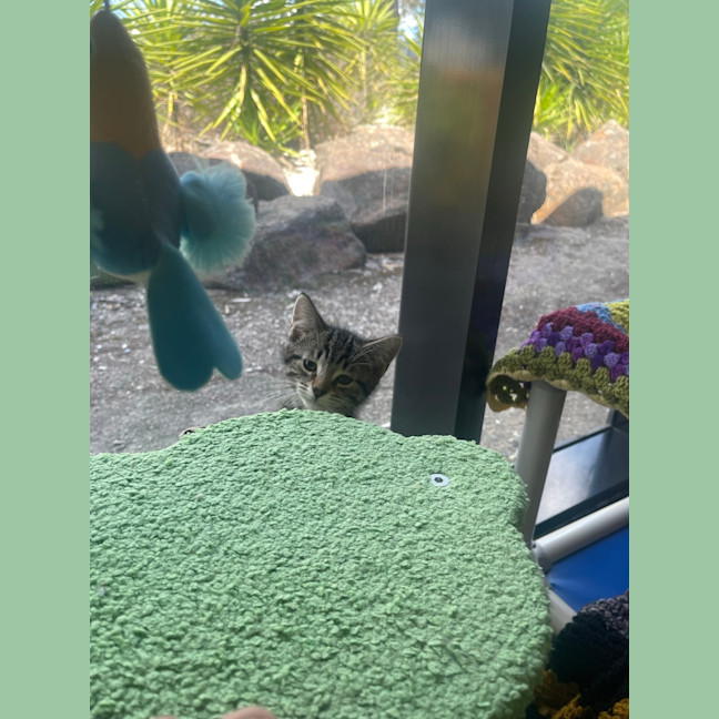Photo of Mr. Squiggle