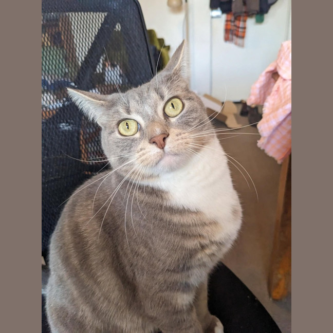 Photo of Ayaka   In Foster Care In Thornbury