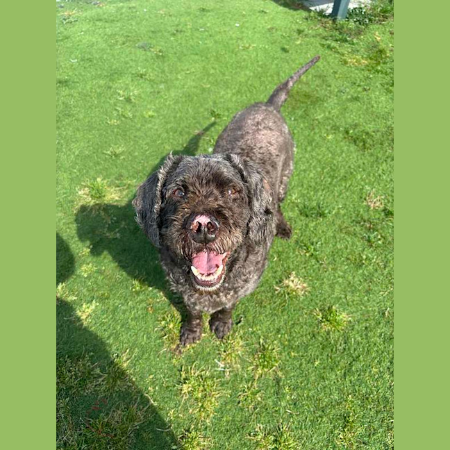 Photo of Bently