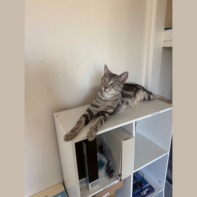 Photo of Leo