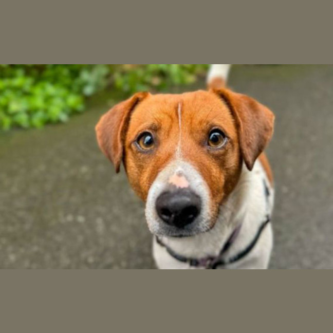 Photo of Timmy 