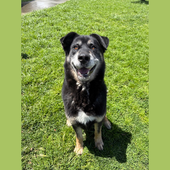 Photo of Zeus 