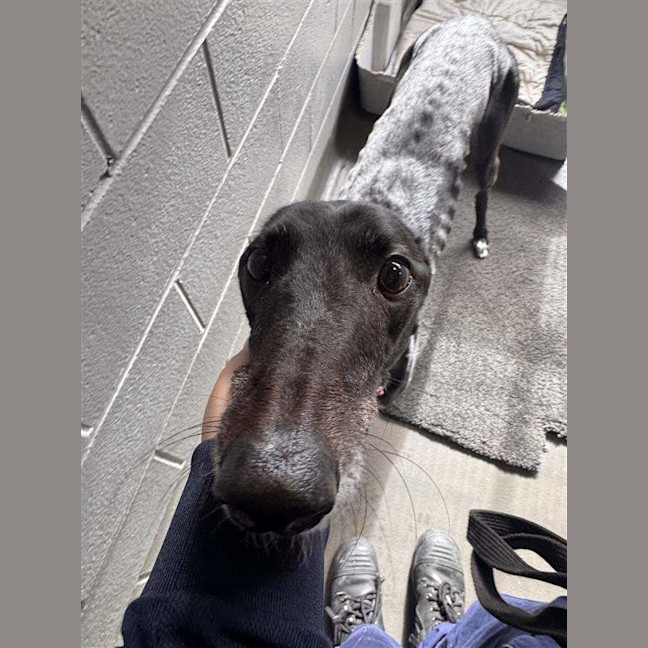 Photo of Skye