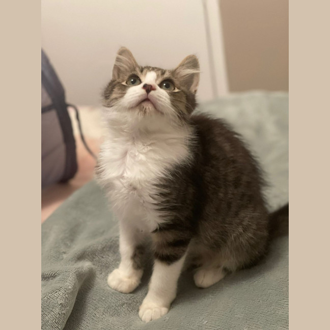Photo of Alfie