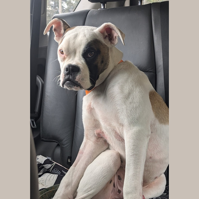 Photo of Ricky Jon Jiggy