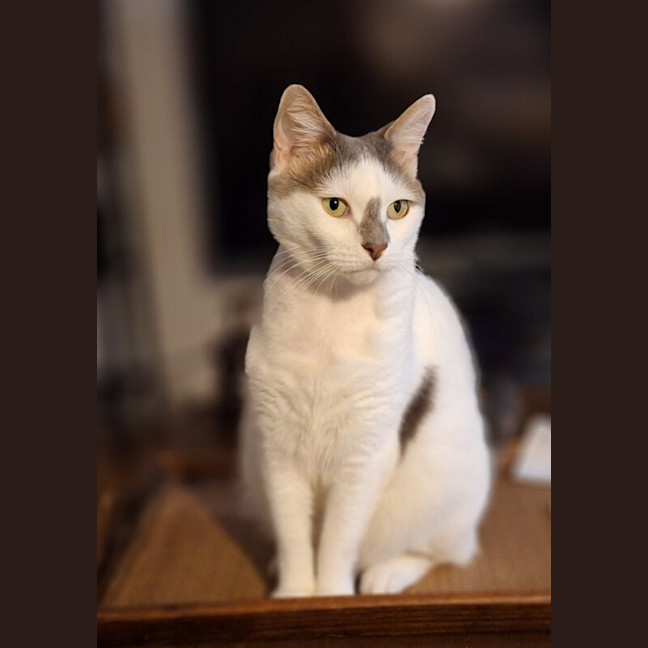 Photo of Rosalie