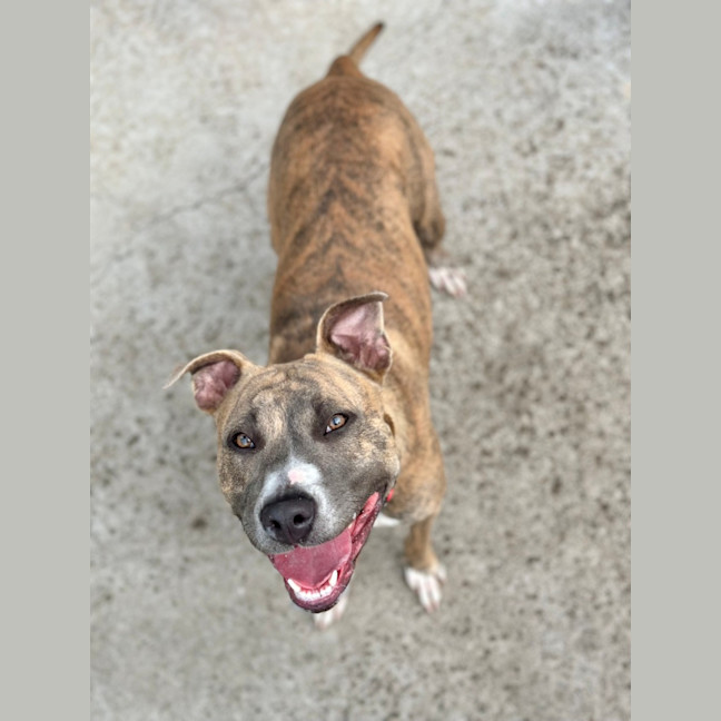 Photo of Mia