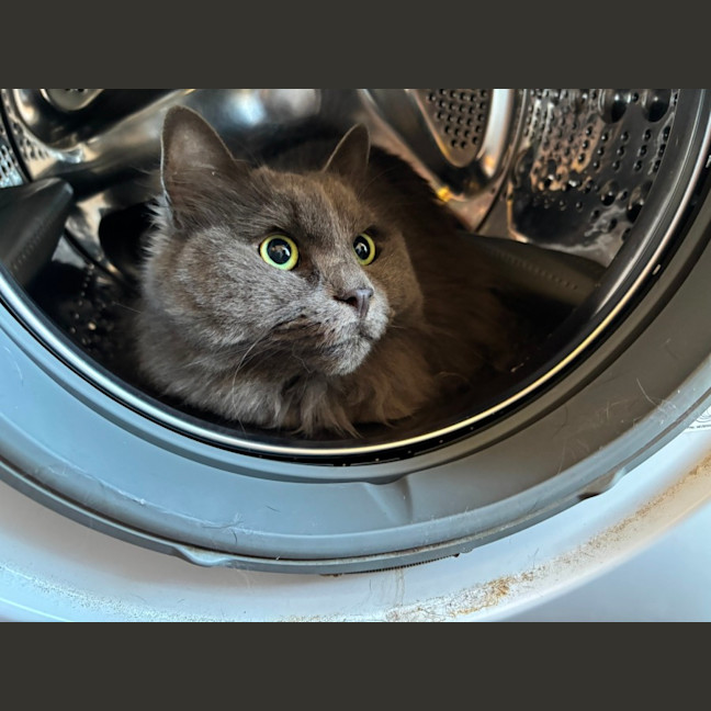 Photo of 💙 Harry 💙