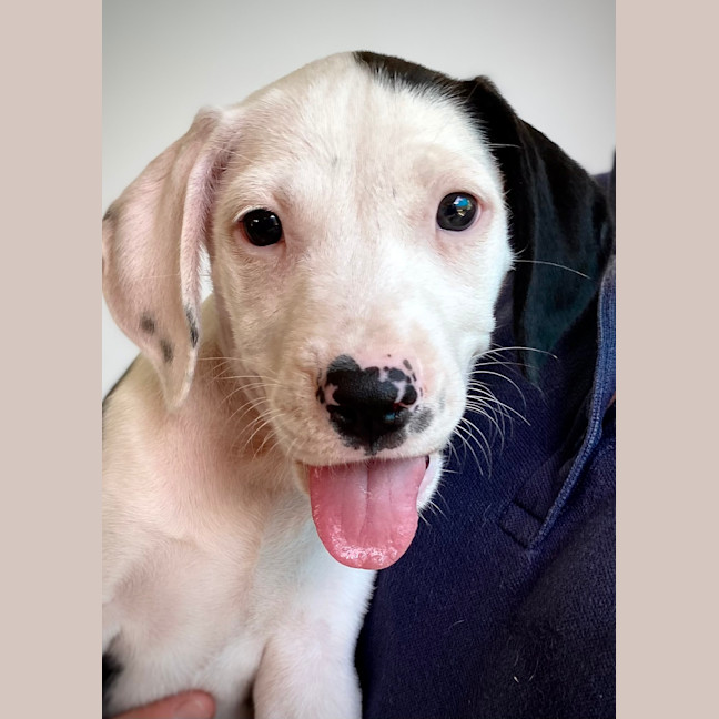 Photo of Storm