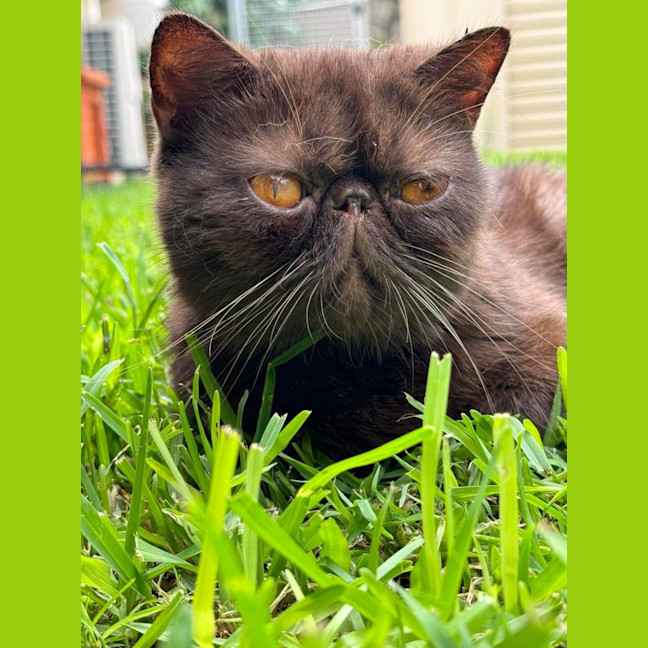 Photo of Lilibet