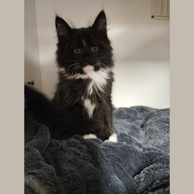 Photo of Thomas