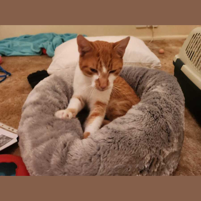 Photo of Jester 