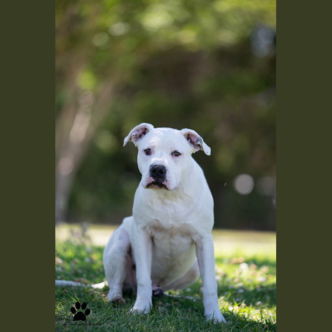Photo of Jaxen