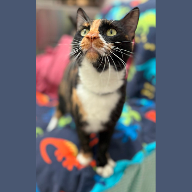 Photo of Nell (4428)
