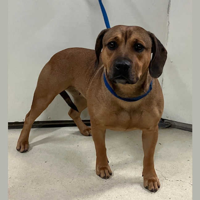 Photo of Ruby