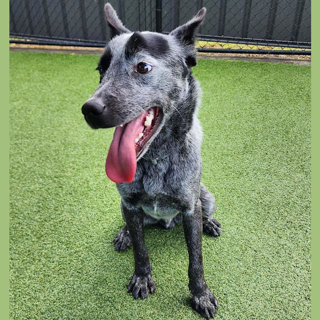 Photo of Spike
