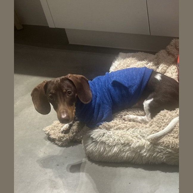 Photo of Silly Billy 