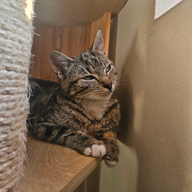 Photo of Mia