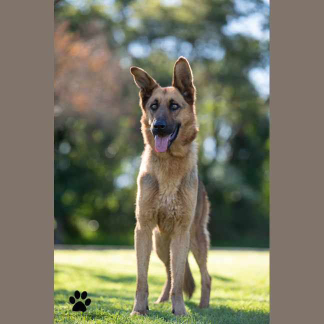 Photo of Sasha