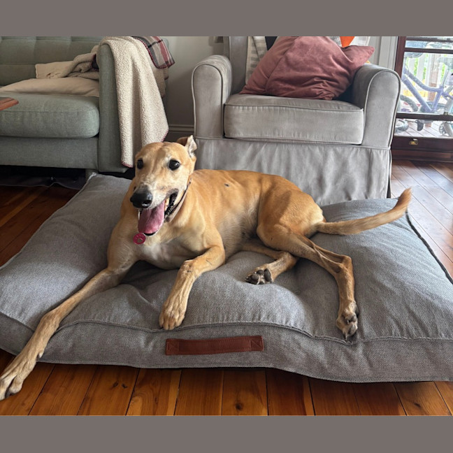 Photo of Sandy