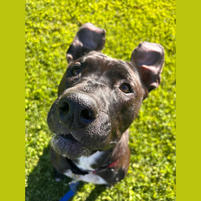 Photo of Beverly