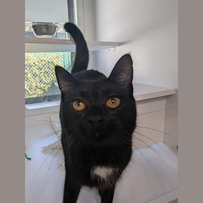 Photo of Winnie