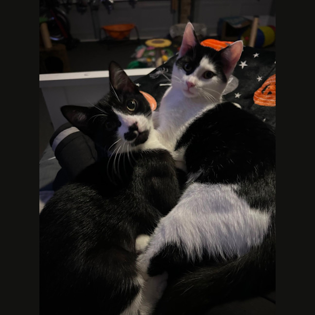 Photo of Parkway And James Bond 🥰