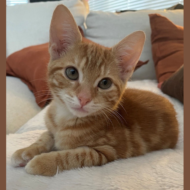 Photo of Gladys