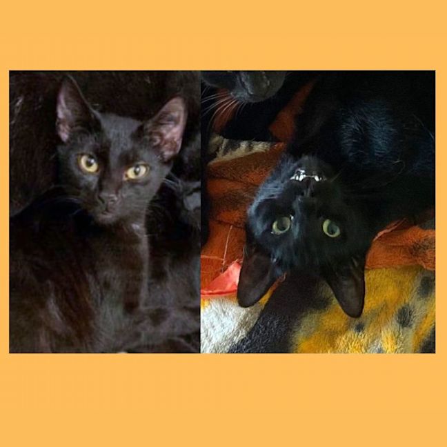 Photo of Cash And Yukon