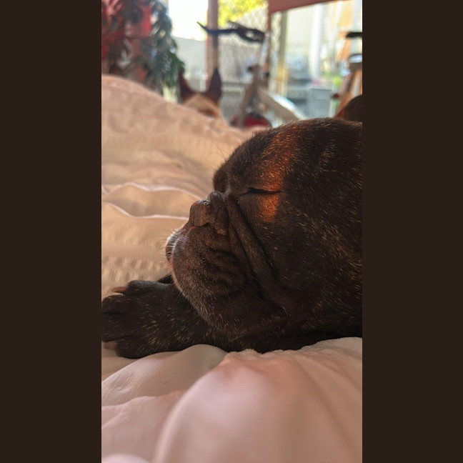 Photo of Vintage Wensleydale