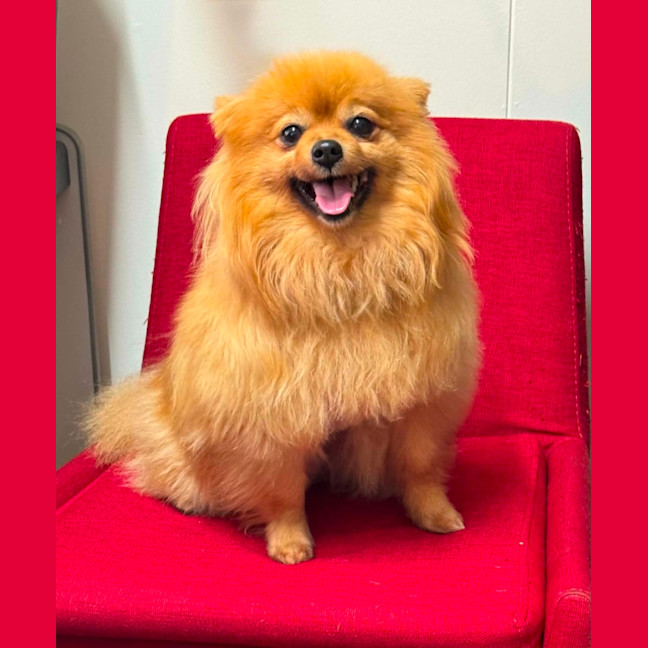 Photo of Cardi