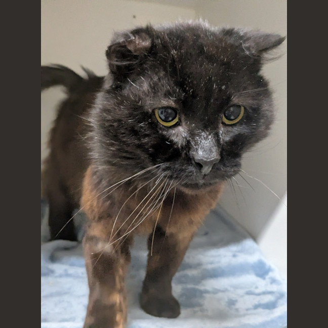 Photo of 🎣 Greg 6702 🎣