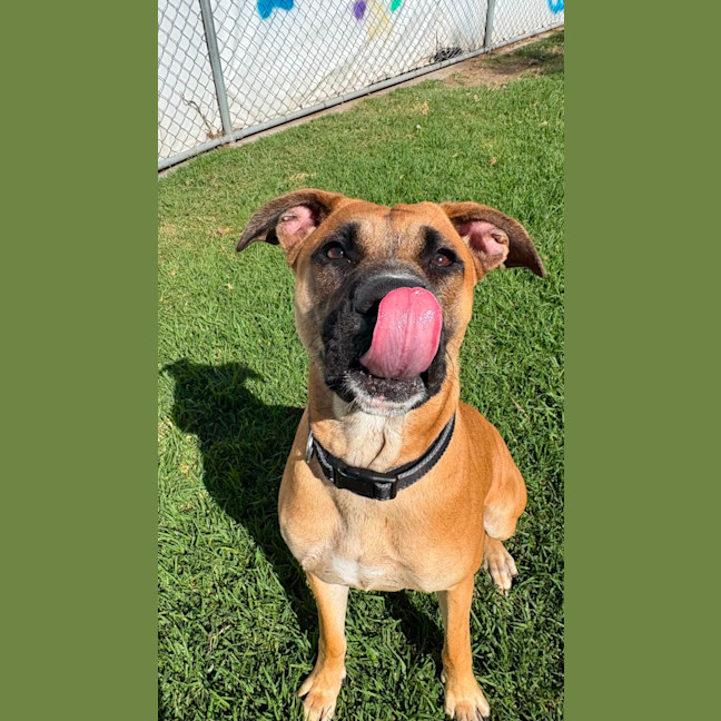 Photo of Gertie