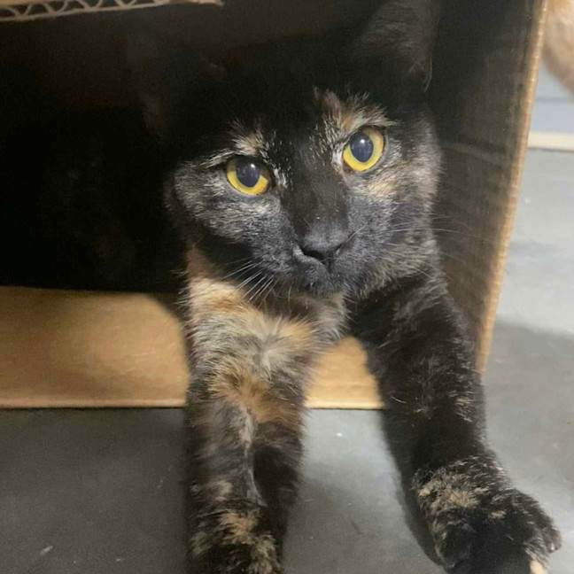 Photo of Kallie 🍃💕