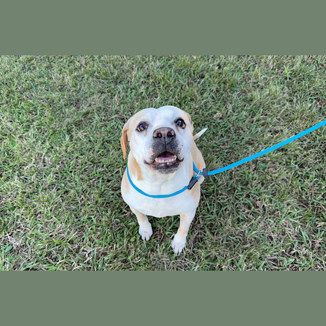 Photo of Astro