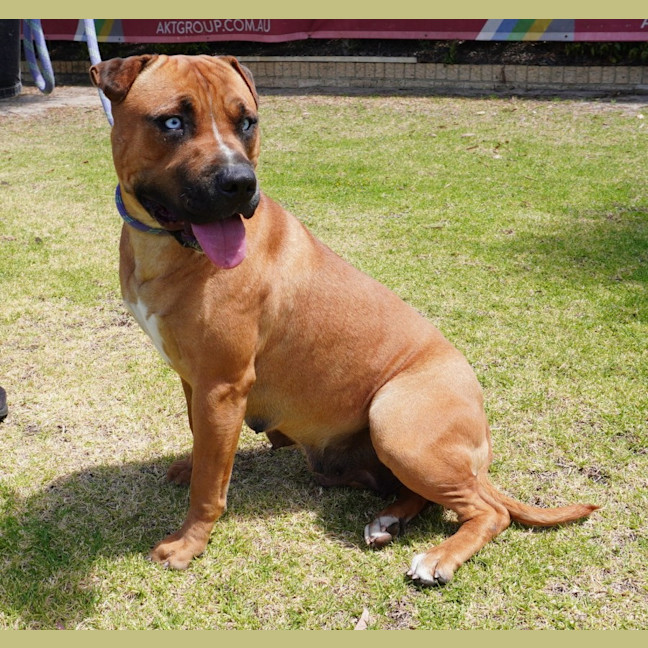 Photo of Bonnie
