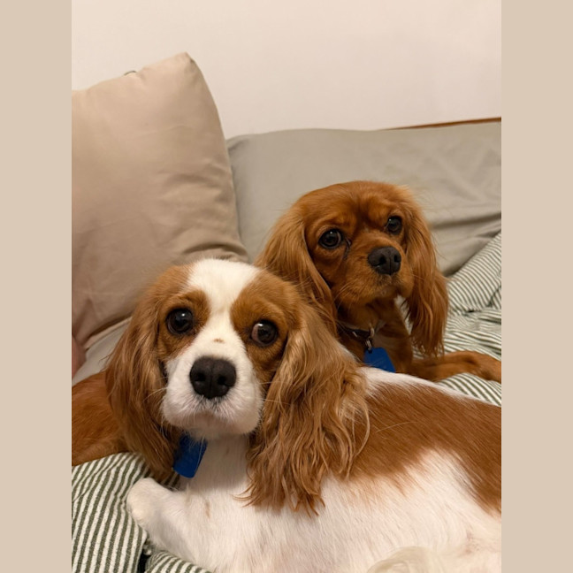 Photo of Lizzie And Velvet