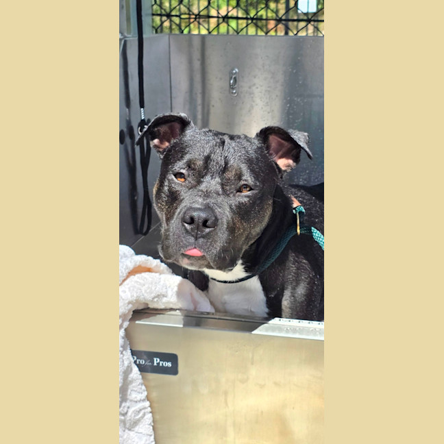 Photo of Jaxx