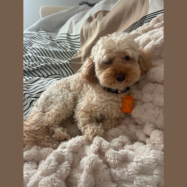 Photo of Simon 