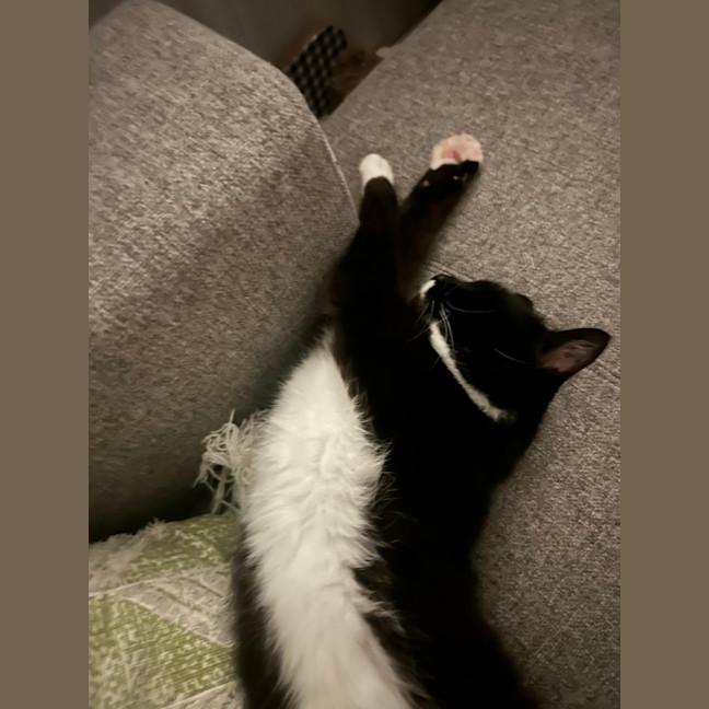 Photo of Big Best Baby Boy Bernard