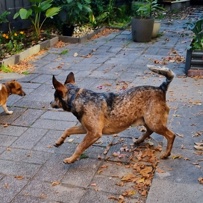 Photo of Richie Rich