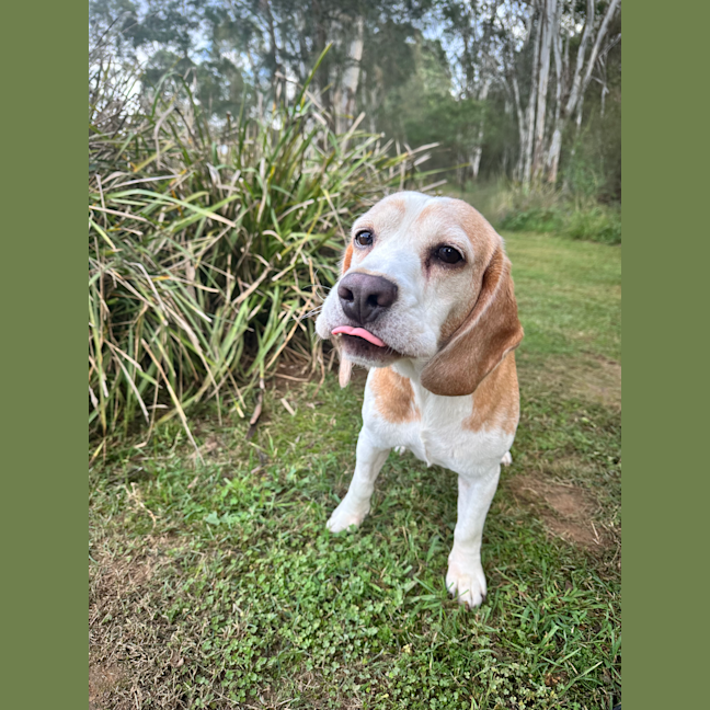 Photo of Post Malone