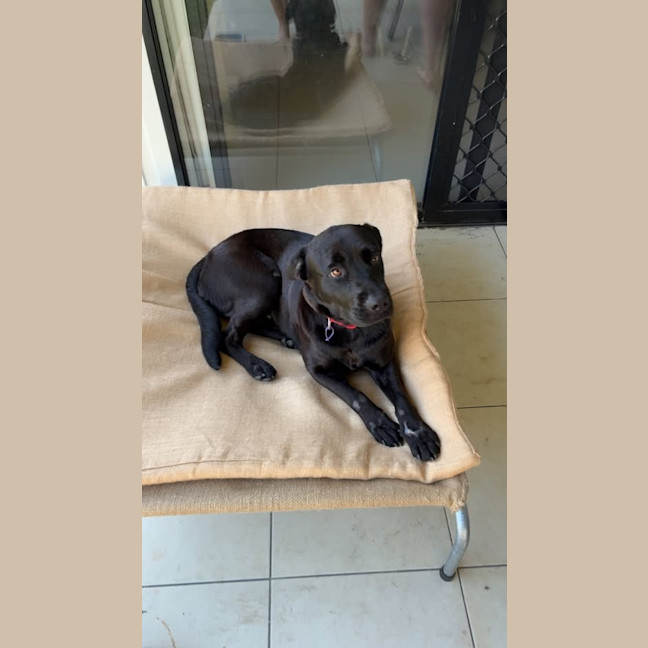 Photo of Maggie