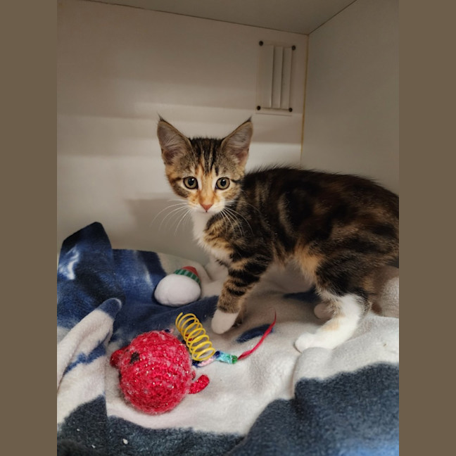 Photo of Pippa And Sage