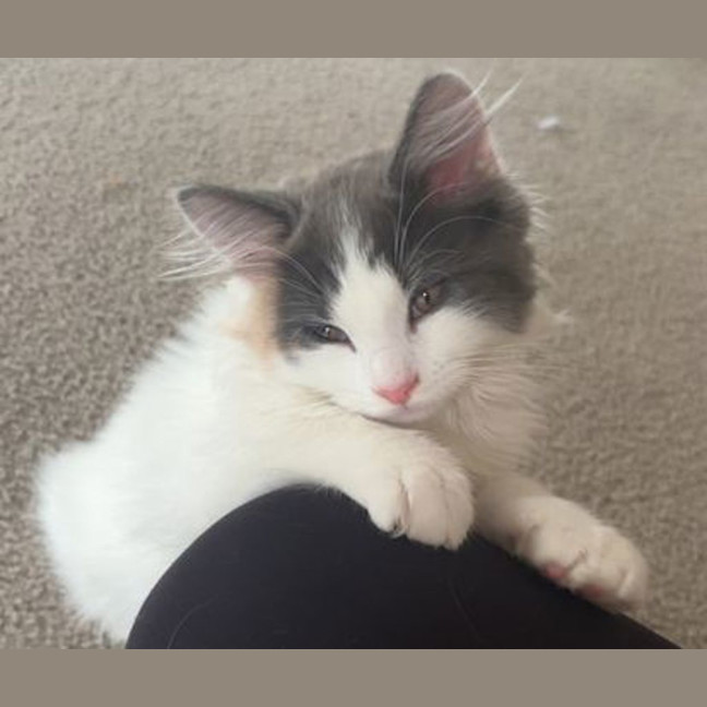 Photo of Lucy