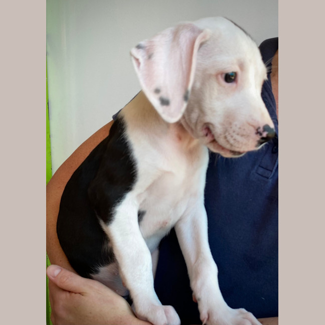 Photo of Storm